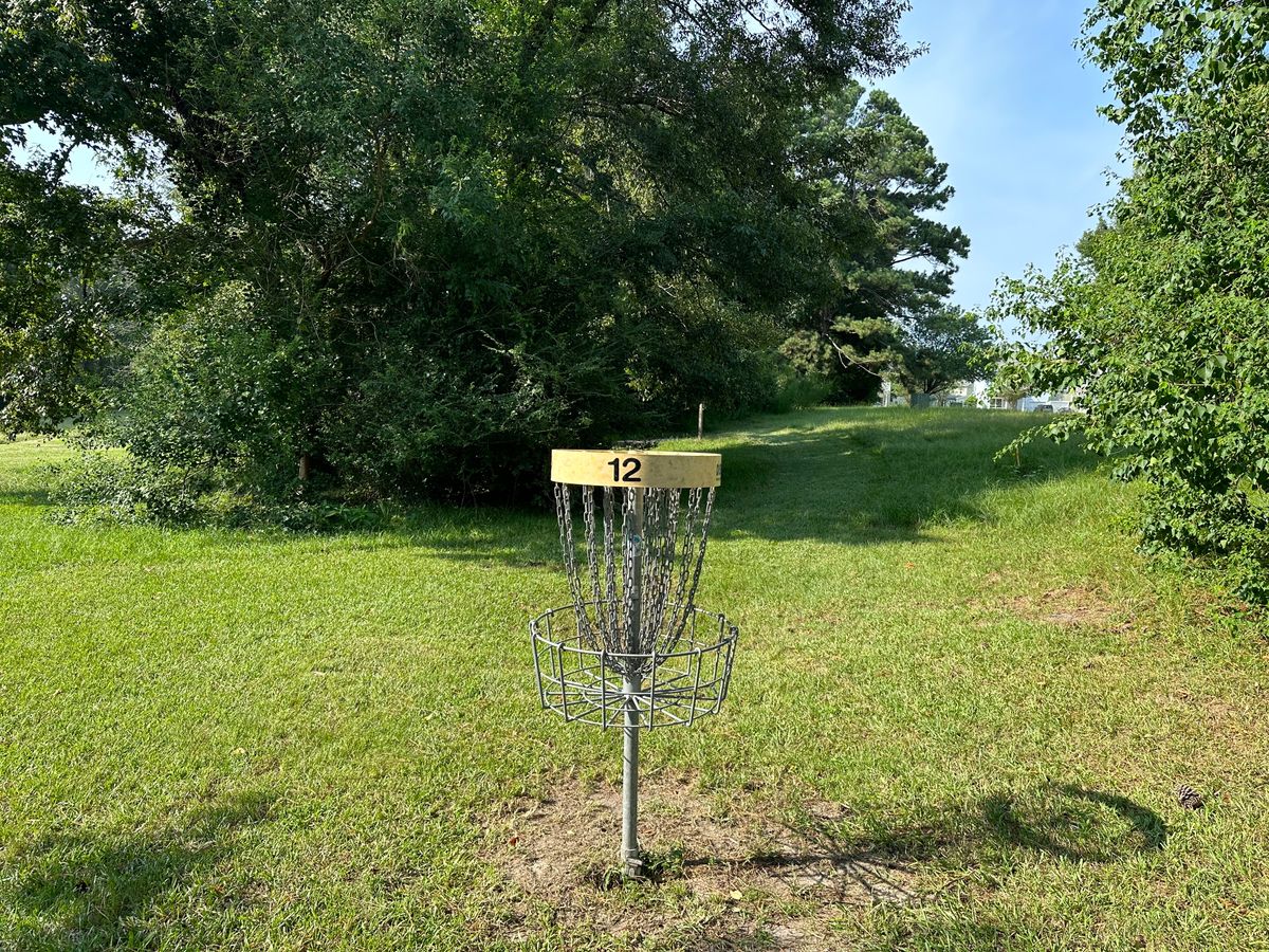 Hole 12 Basket