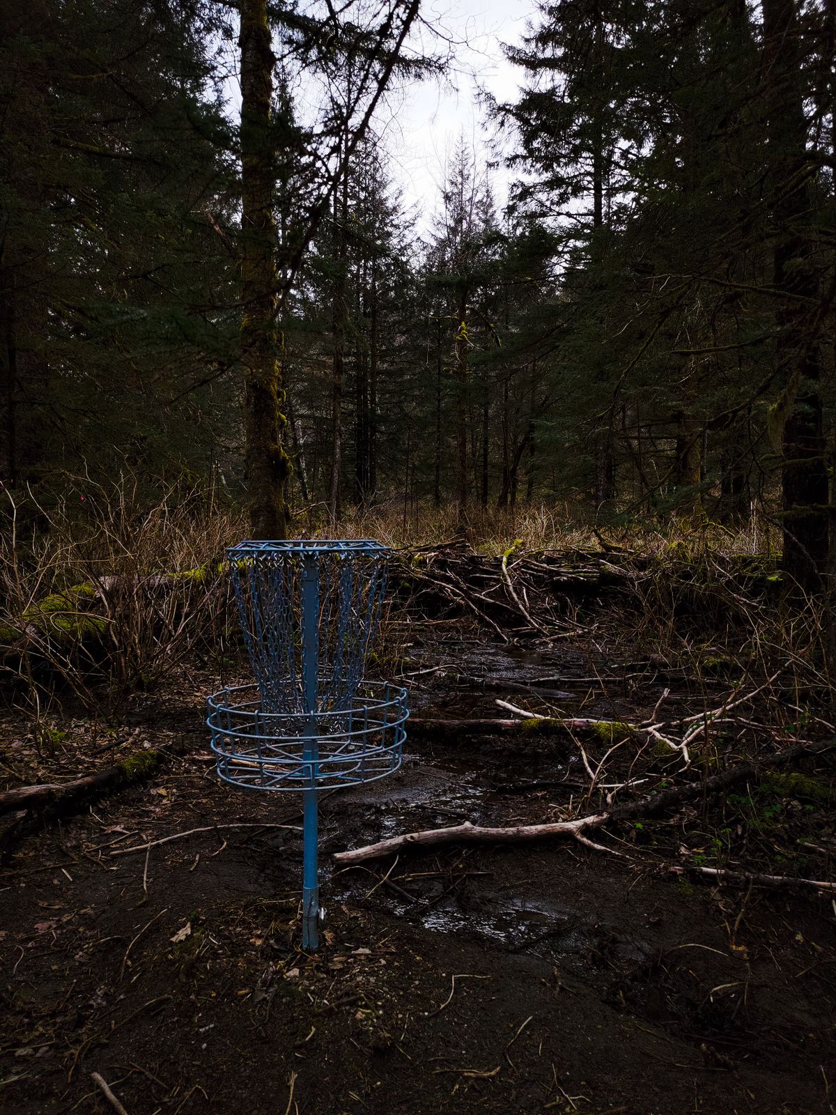 From the basket of Hole 3