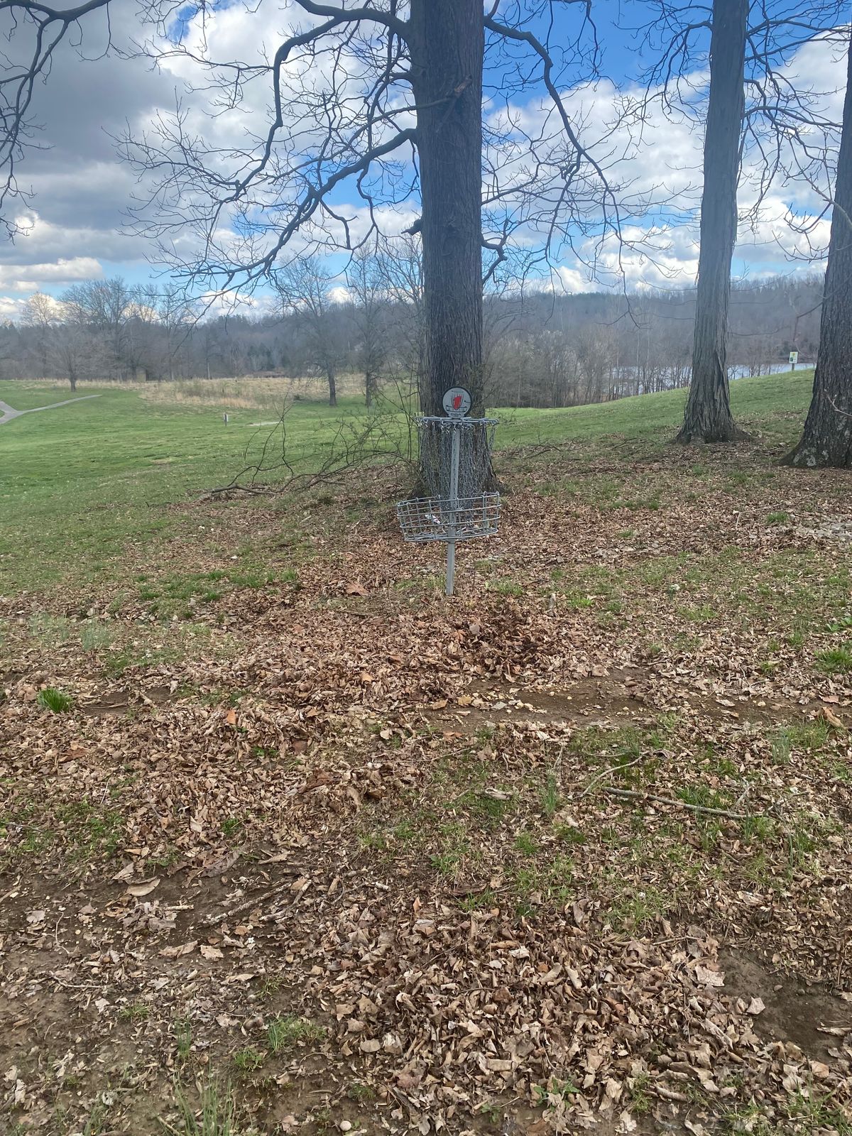 Hole 1 Basket