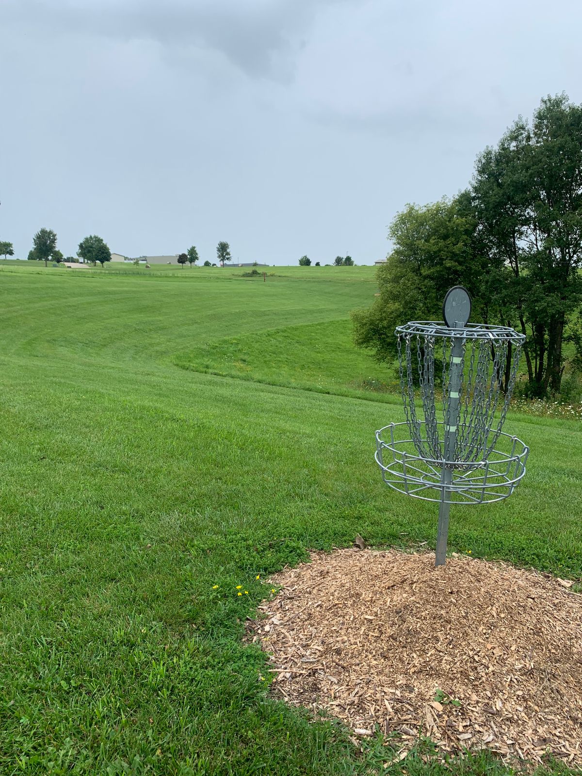 View from hole 7 basket looking back towards tee pad.