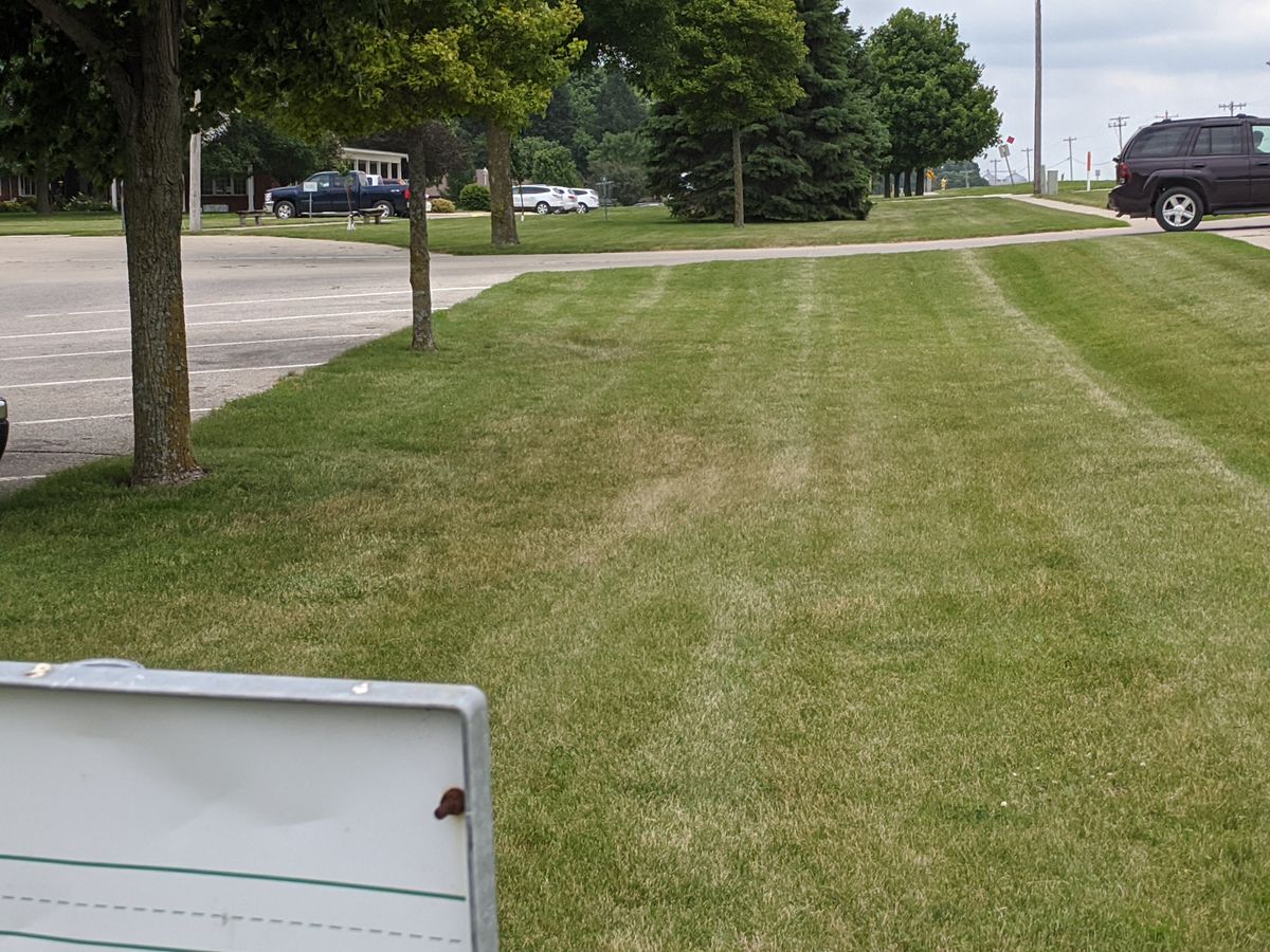 Right next to road in front of YMCA.