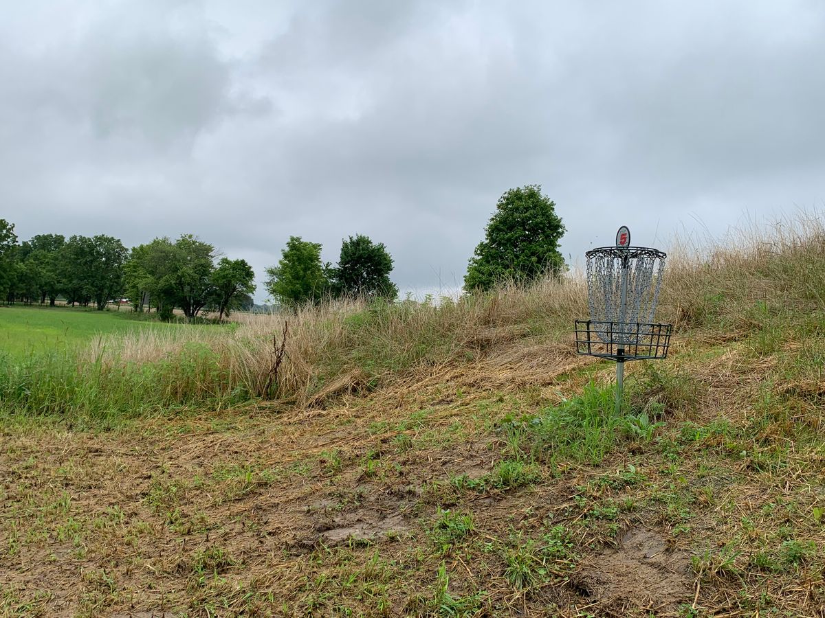 Hole 5 basket to tee