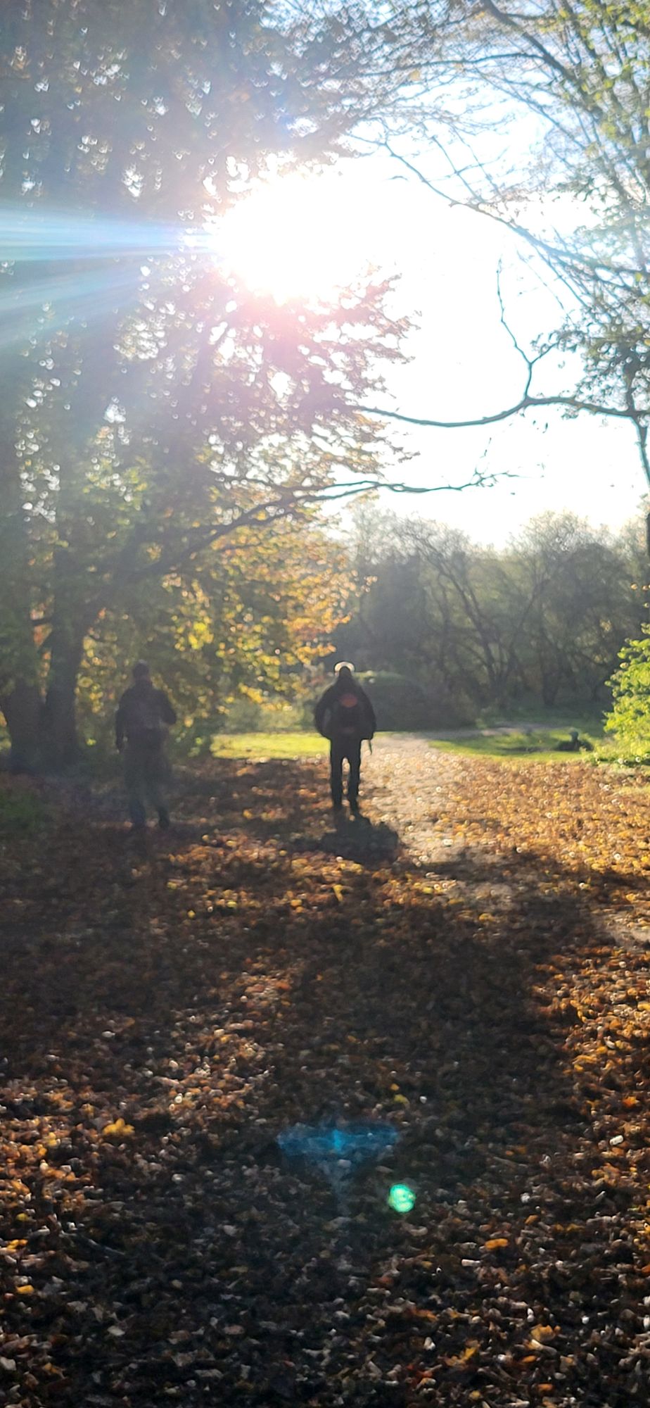 Beautiful colors in autumn