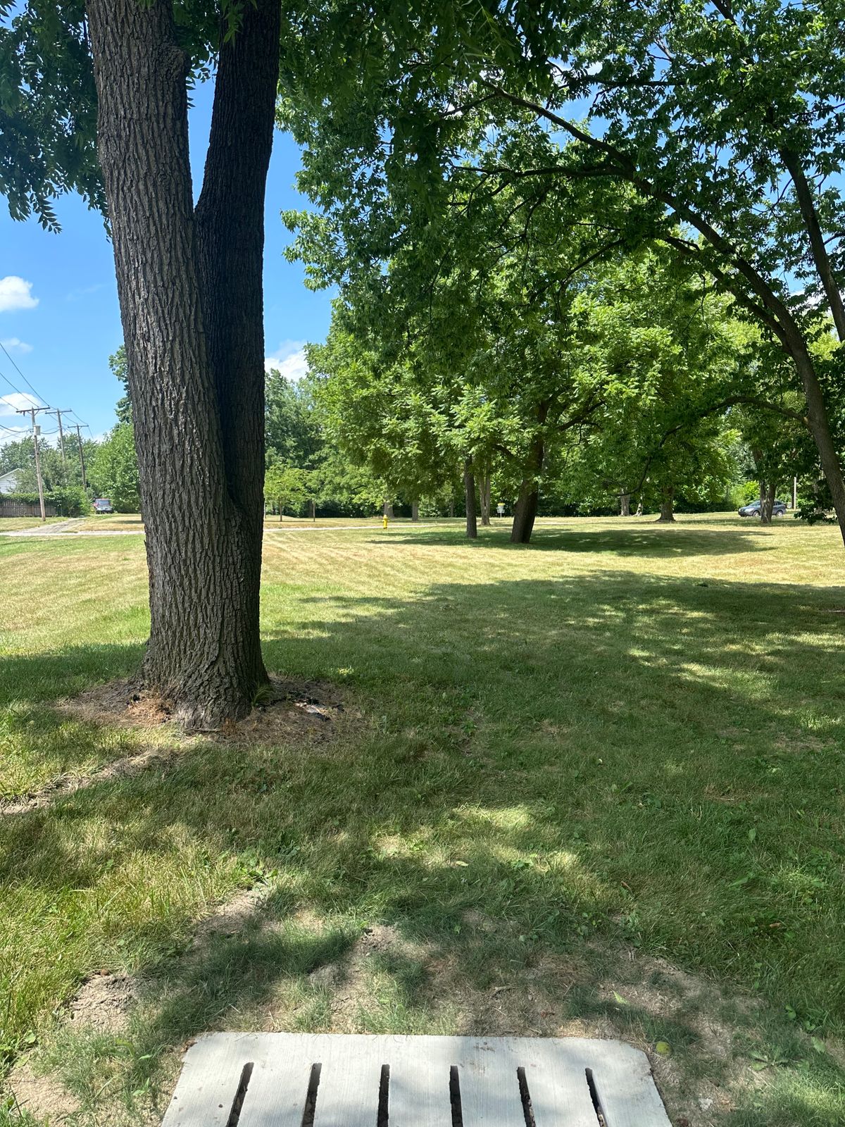 Hole 13 tee pad