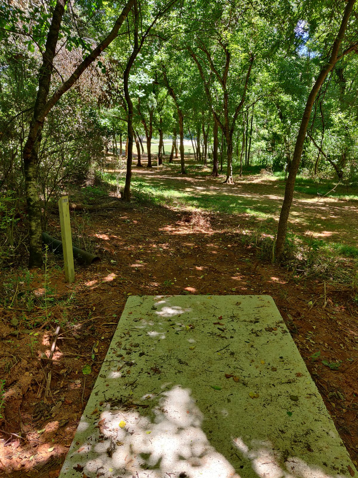 Hole 11. Looking down the fairway at the basket.