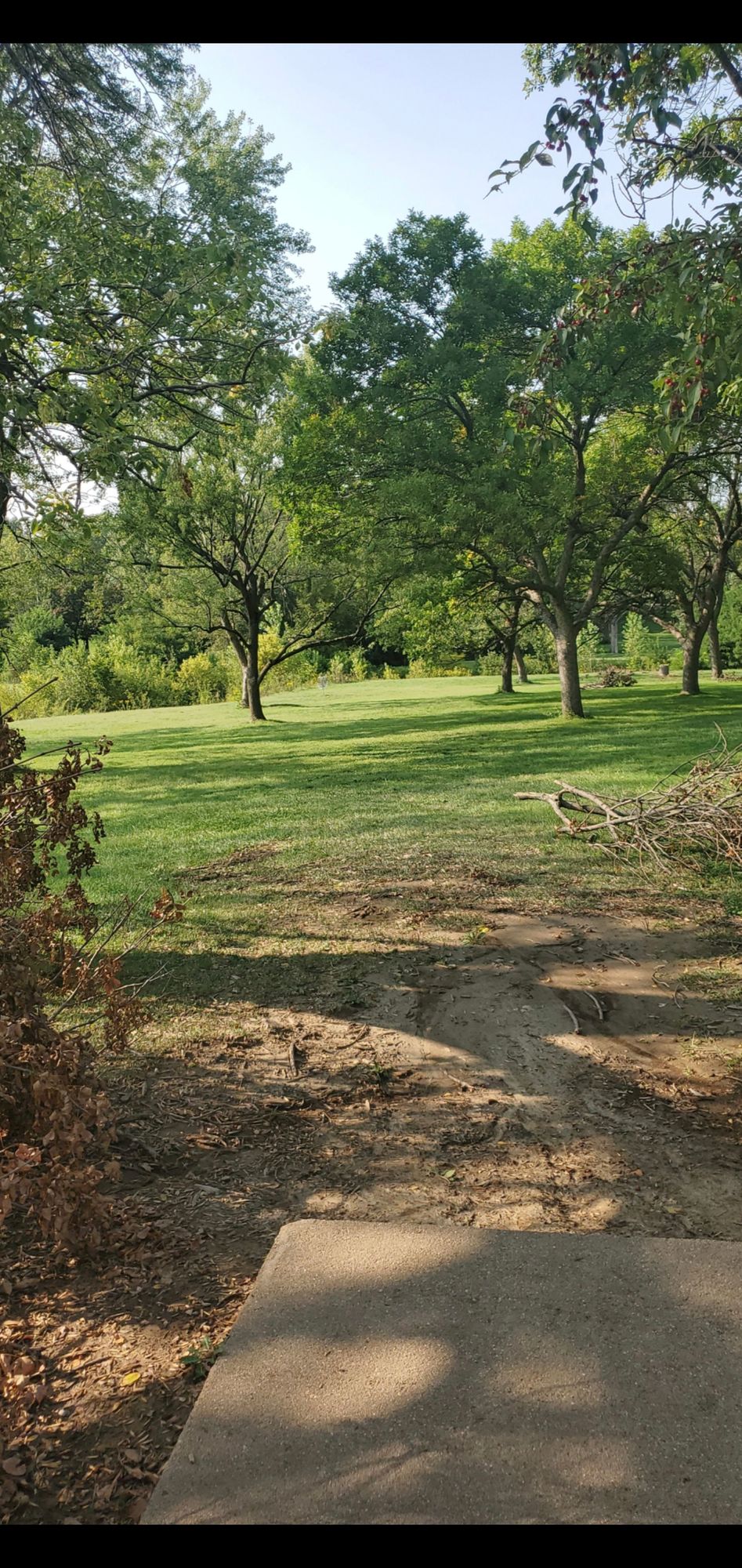 Hole 5