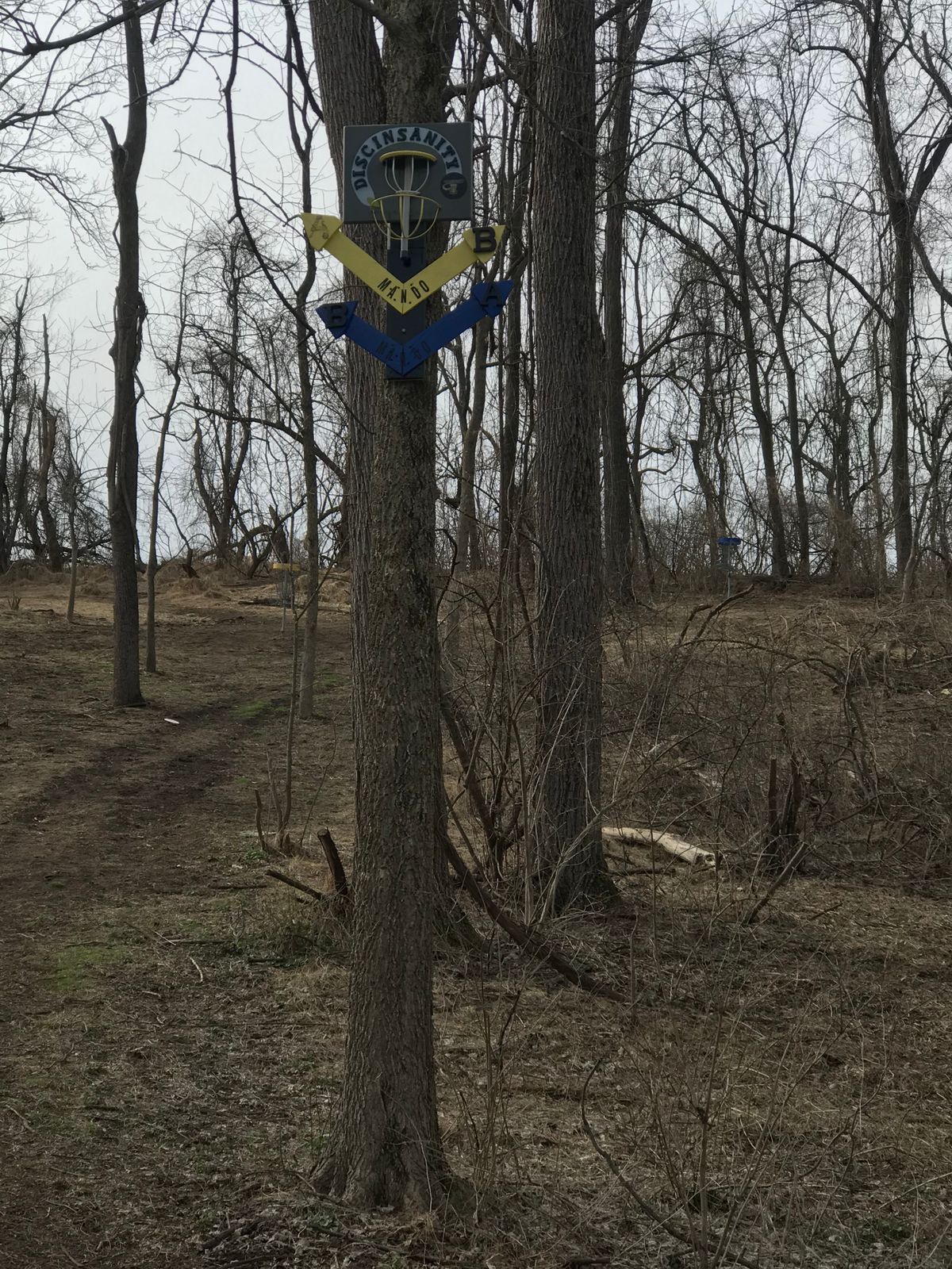 Yellow cage on the left and blue cage on the right.