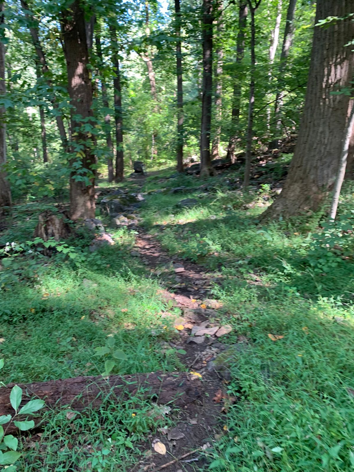 Hole 11