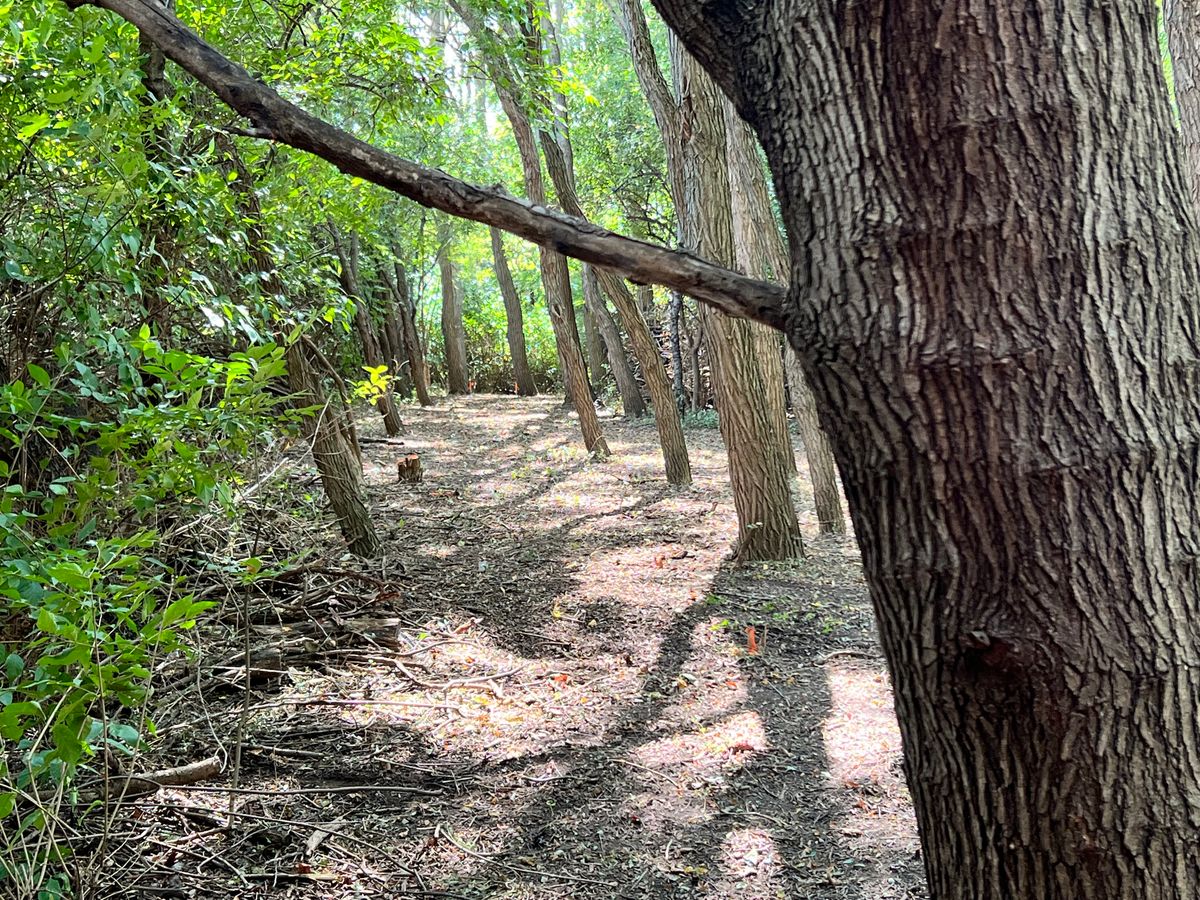 Hole 16 Fairway