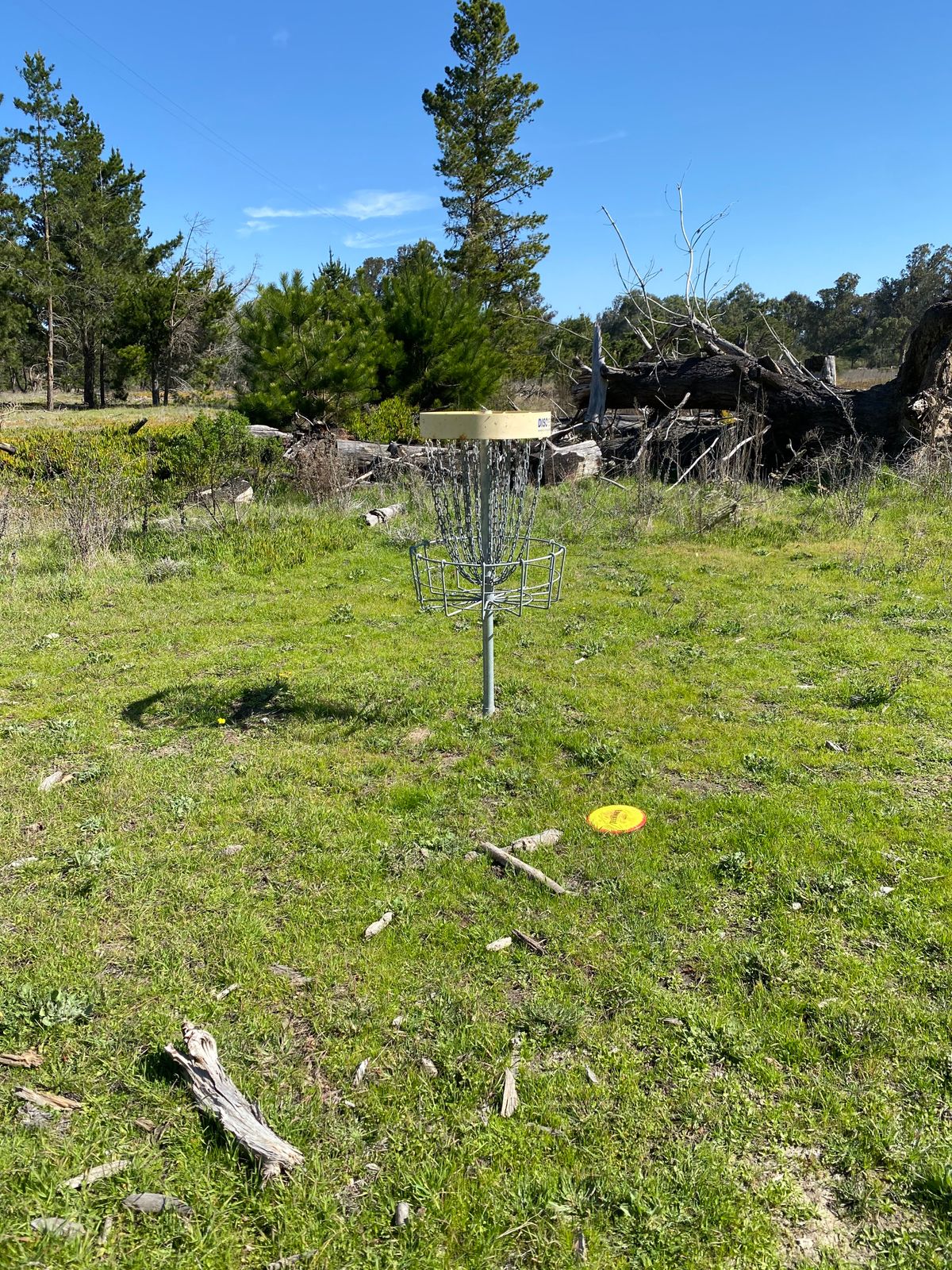 Hole 7 green