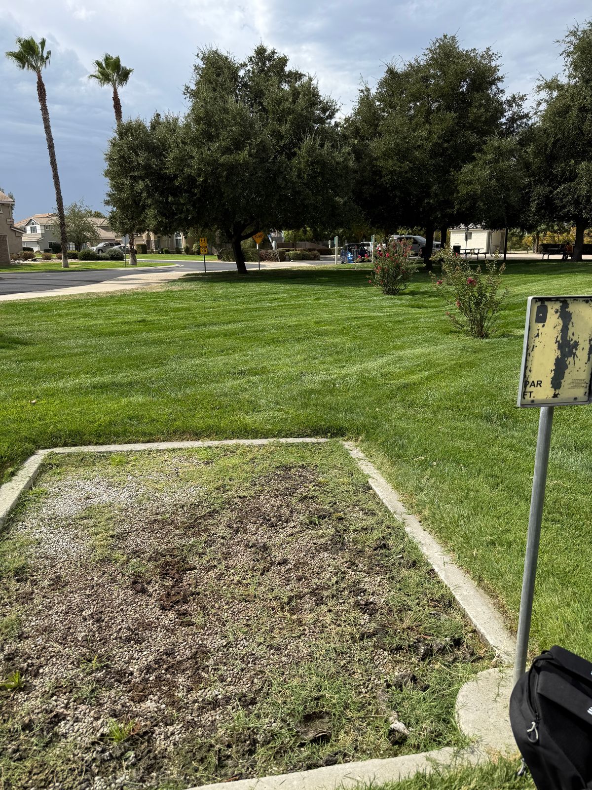 Hole 8 tee pad