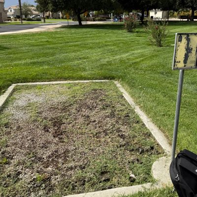 Hole 8 tee pad