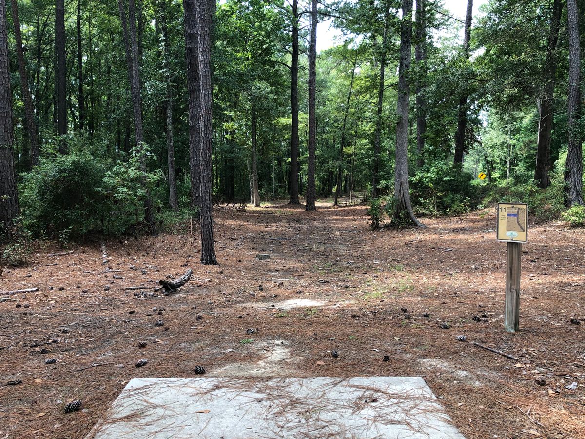 Hole 11 - Gold