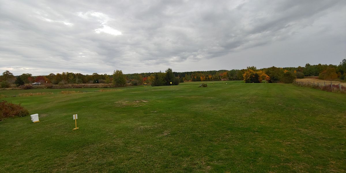 All open field, small brooks not deep.