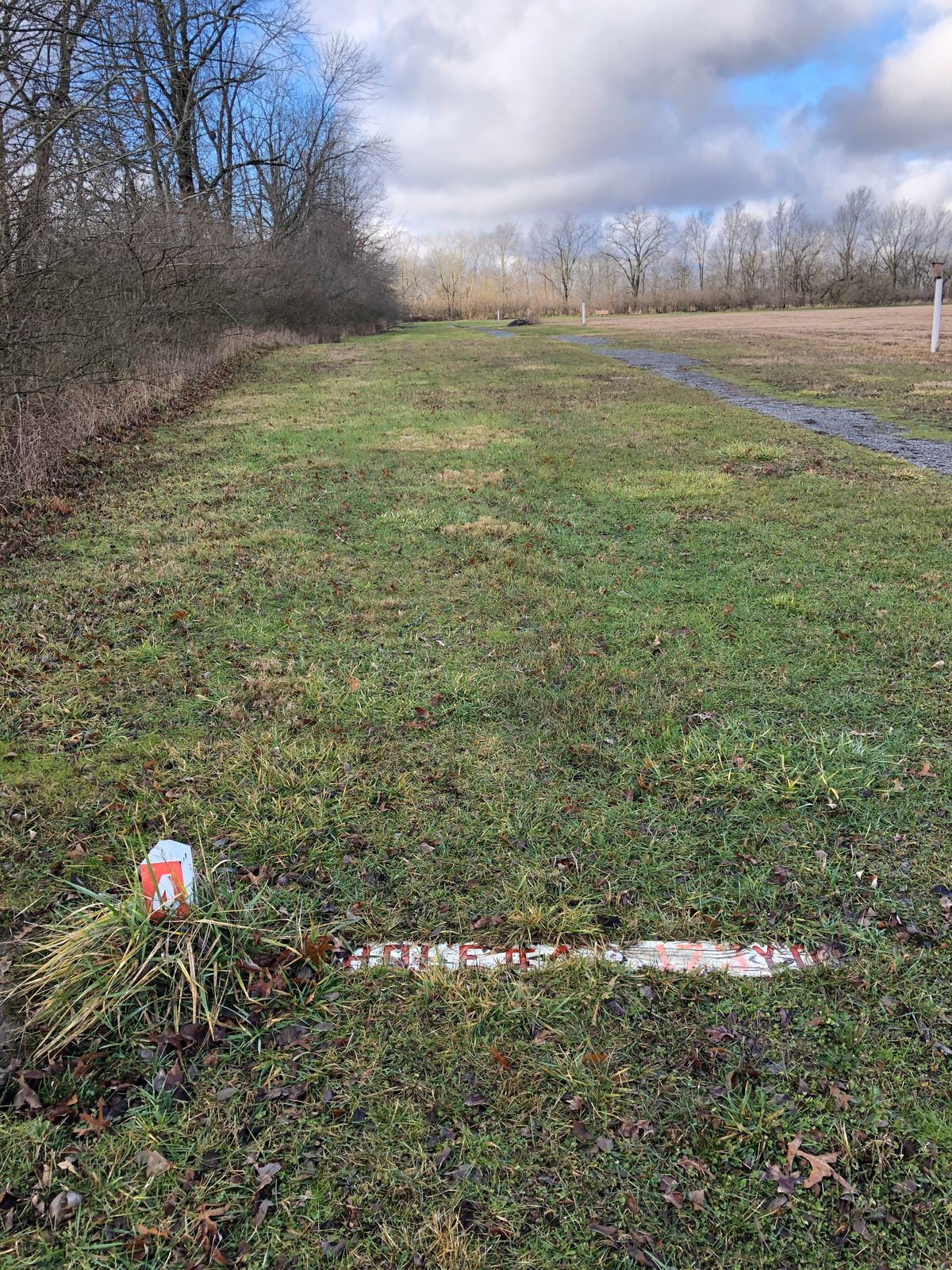Hole 4 tee