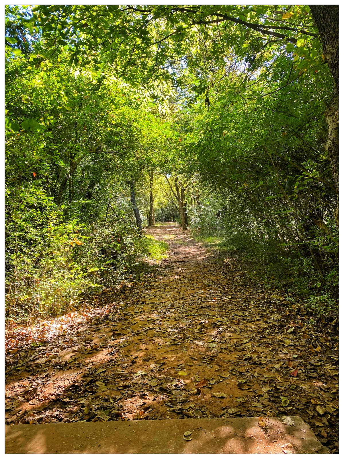 Hole 7 - narrow tunnel