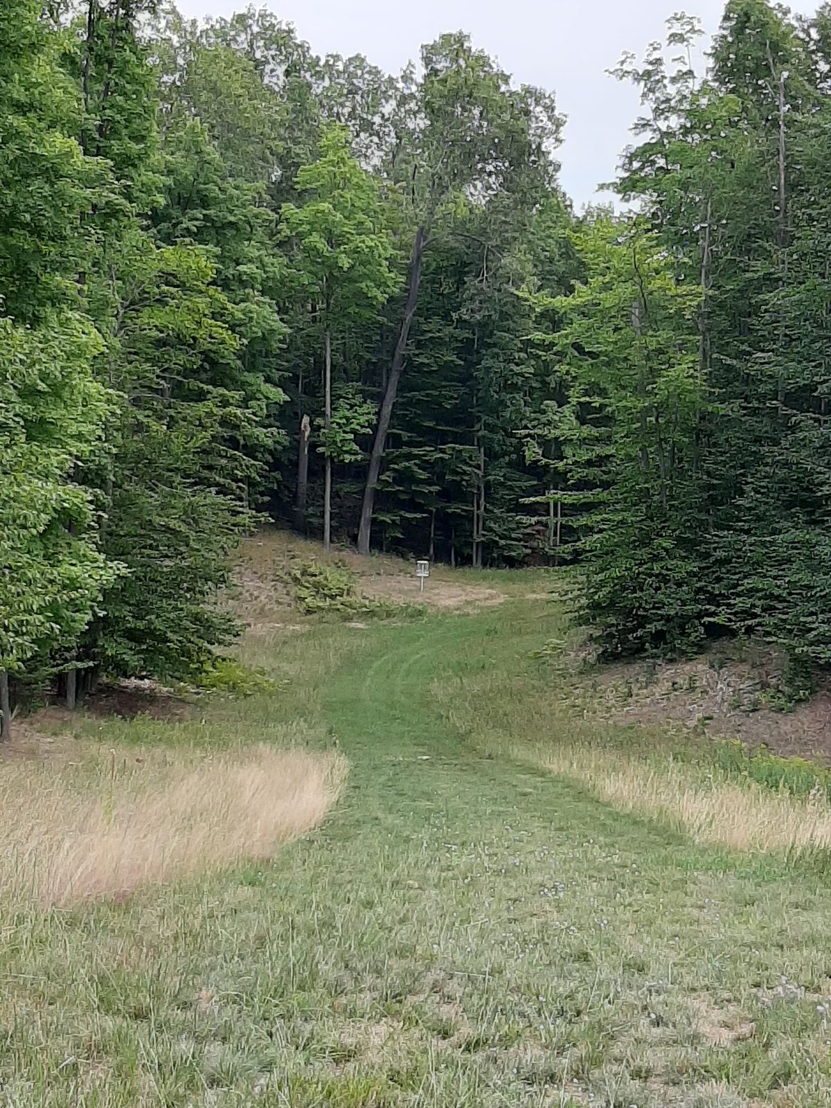 Beautiful hole, at least there's a path cut in the grass.