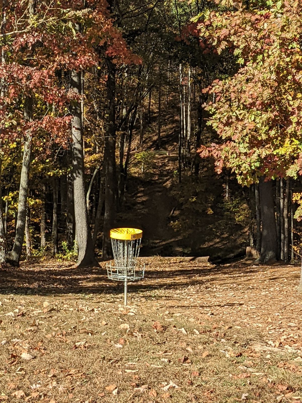 Above 18 long looking back at the tee pad