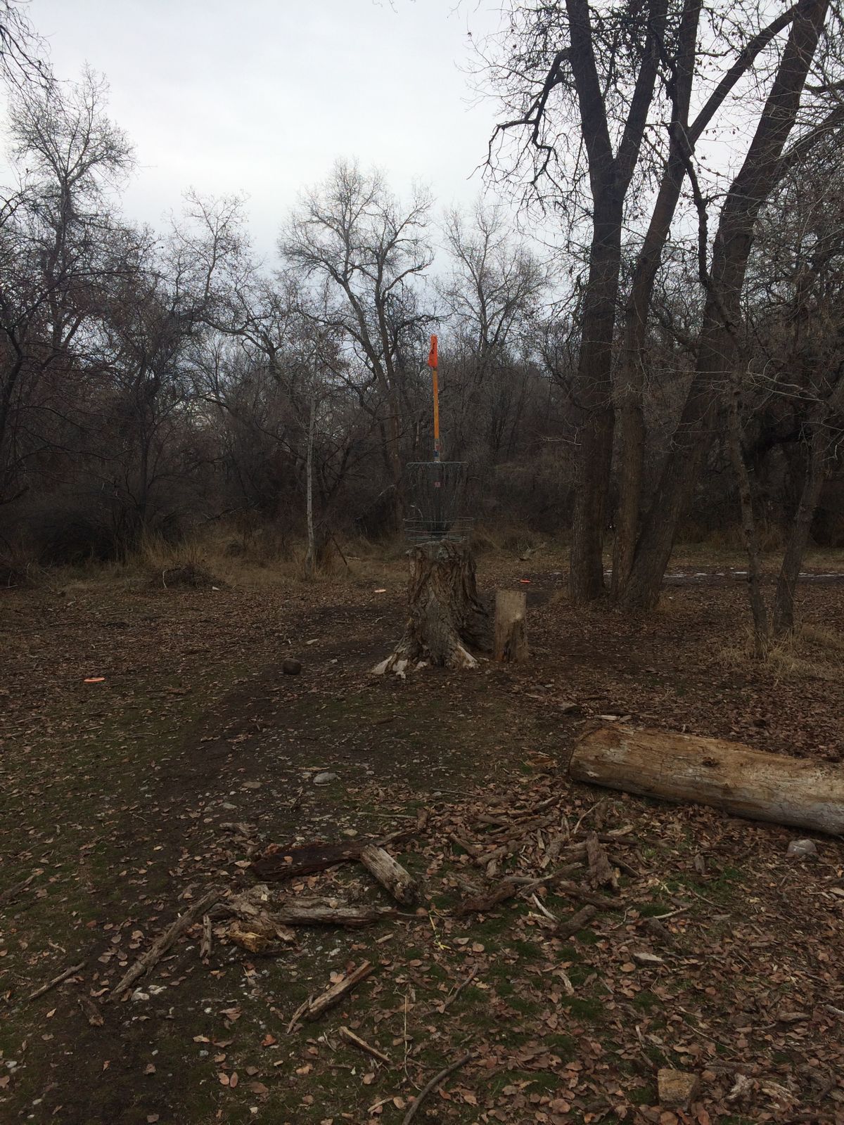 Art Dye Disc Golf Park Course Photos