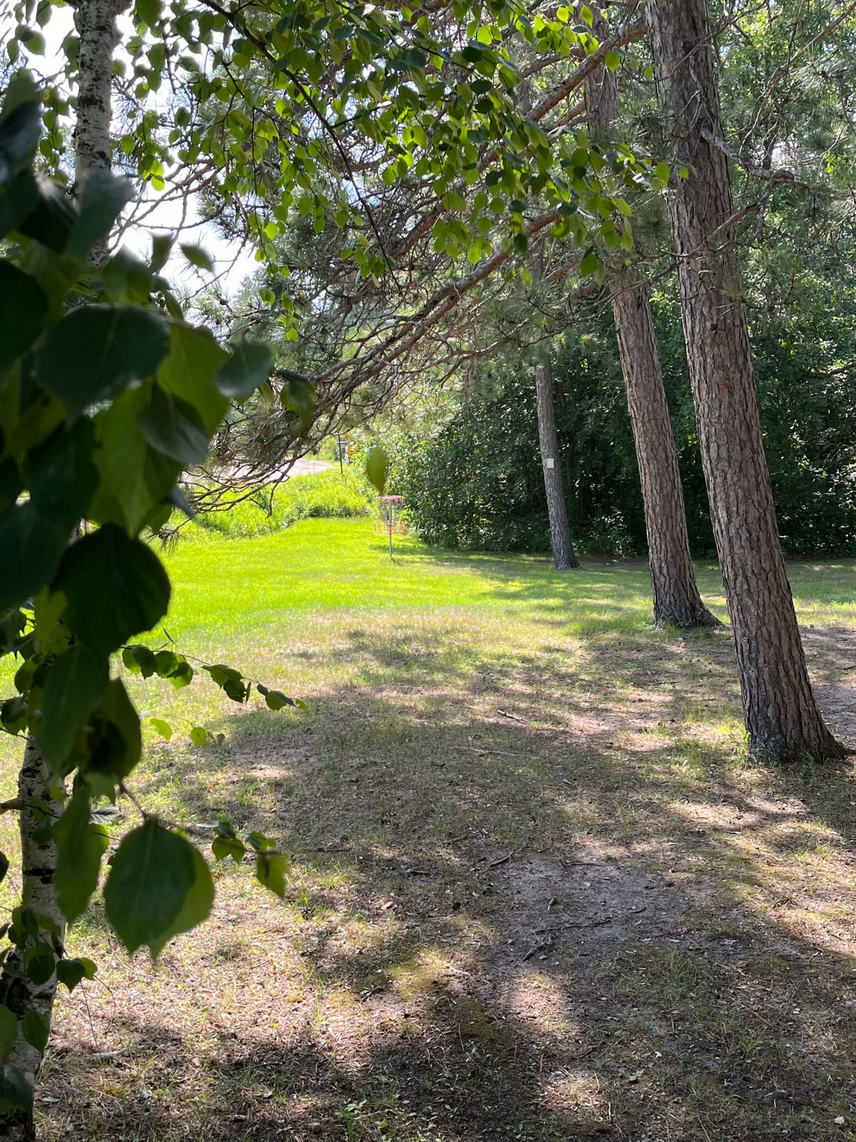 Looking at basket of hole 2 from tee box