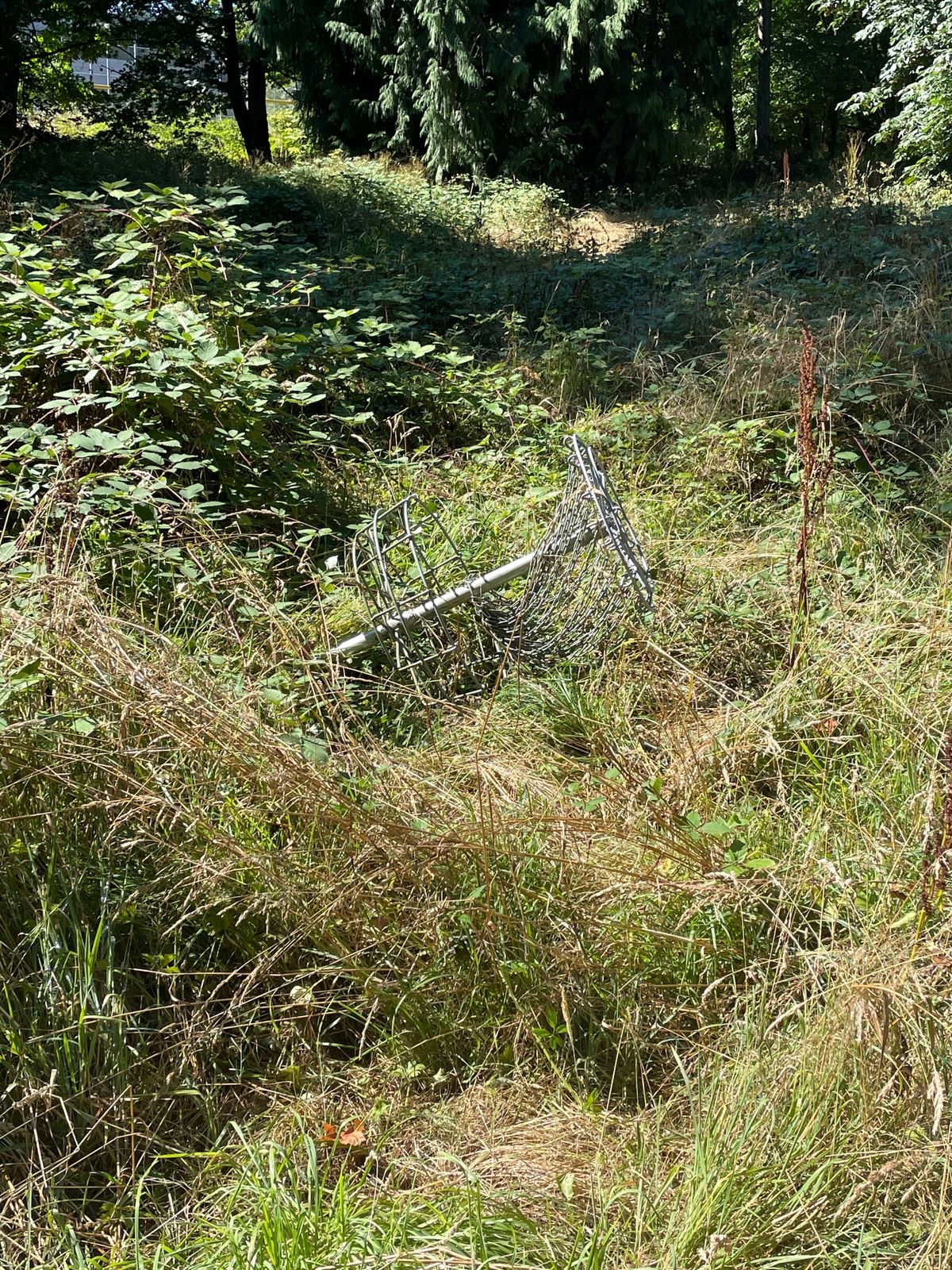 Basket for 4 is down, and 5 is no where to be found.