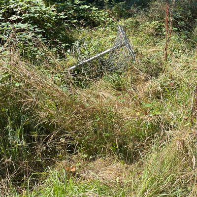 Basket for 4 is down, and 5 is no where to be found.