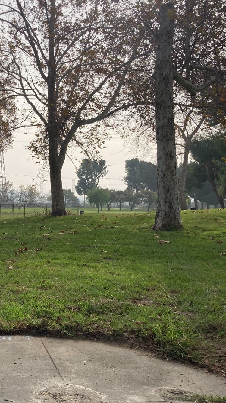 Hole 15 Long position. DM between trees. Area short of concrete pathway is hazard!