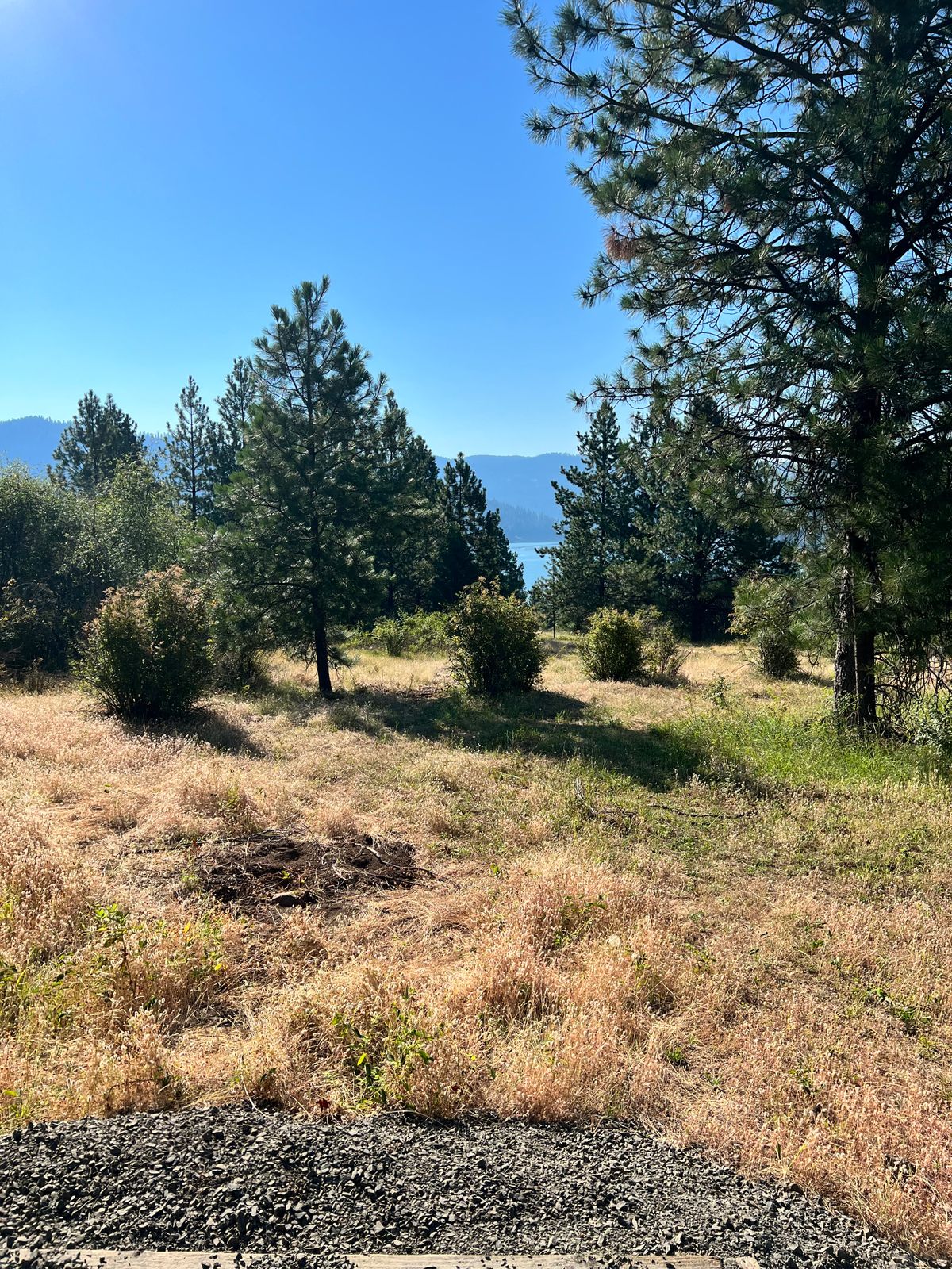 Hole 2 Tee