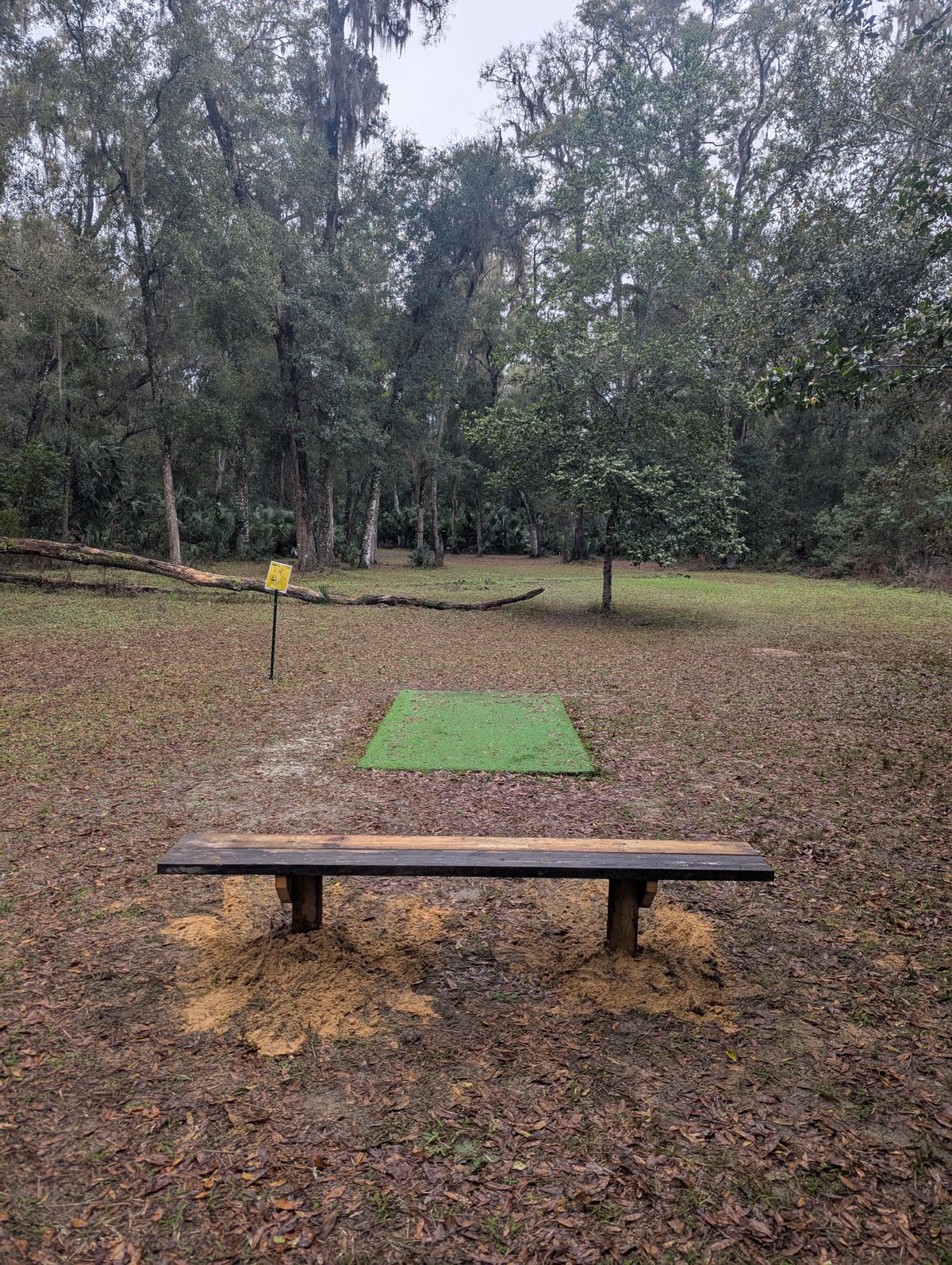 Hole 10 Red/Short