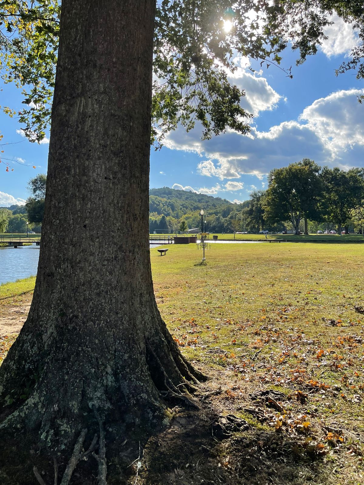 Green of Hole 15