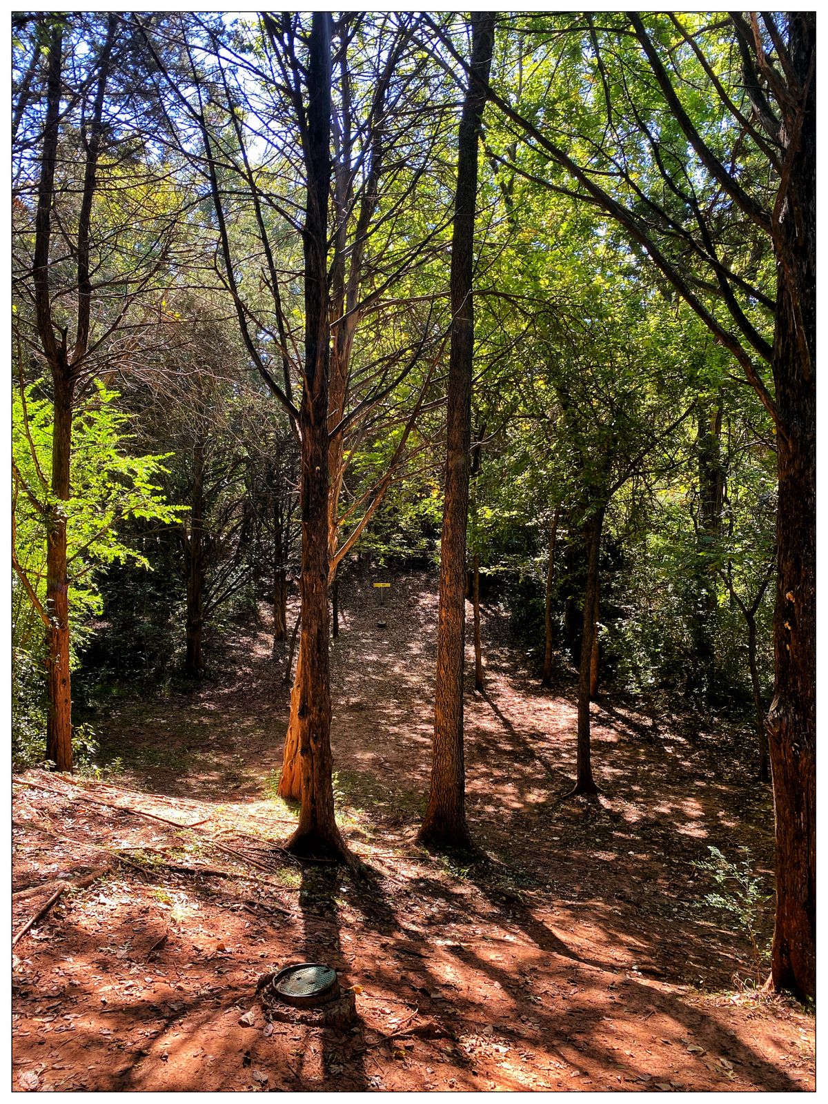 From short location across gully to long