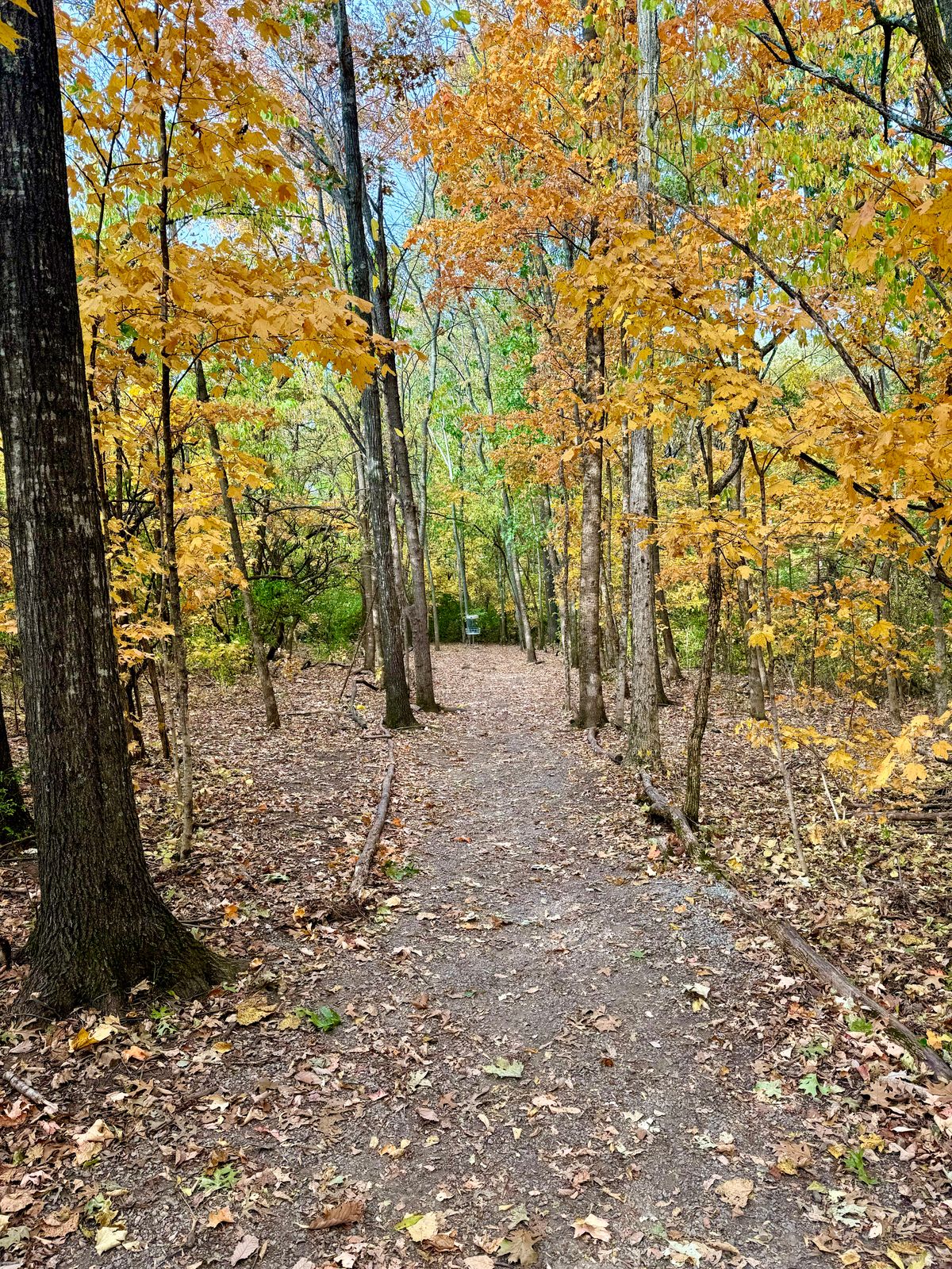 Hole 13