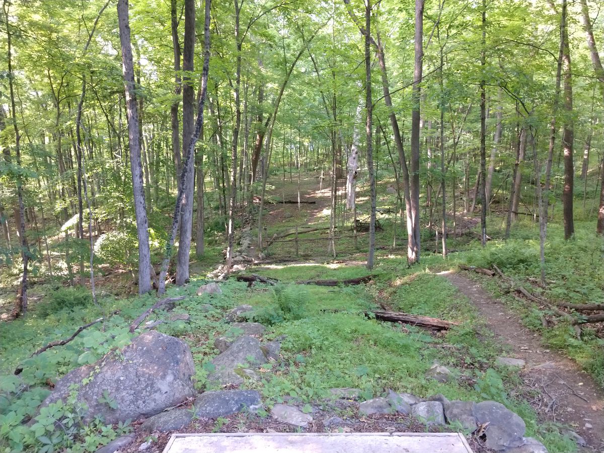 Hole 3