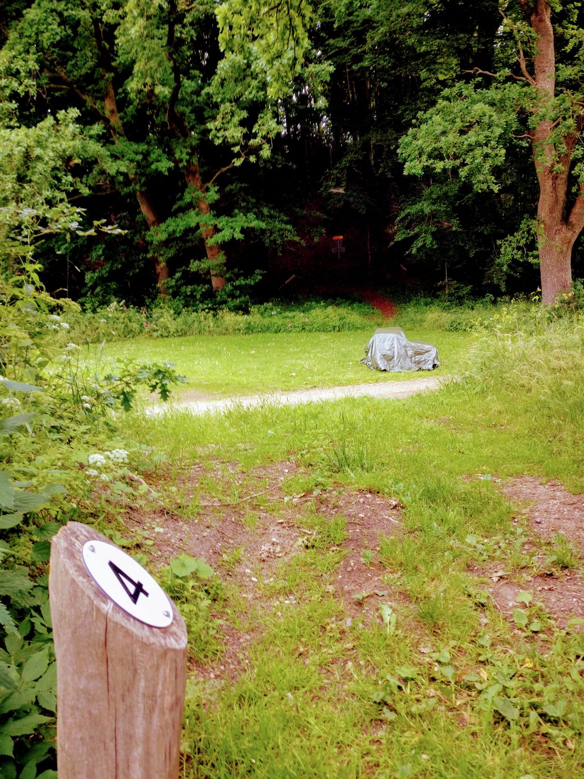 Hole 4