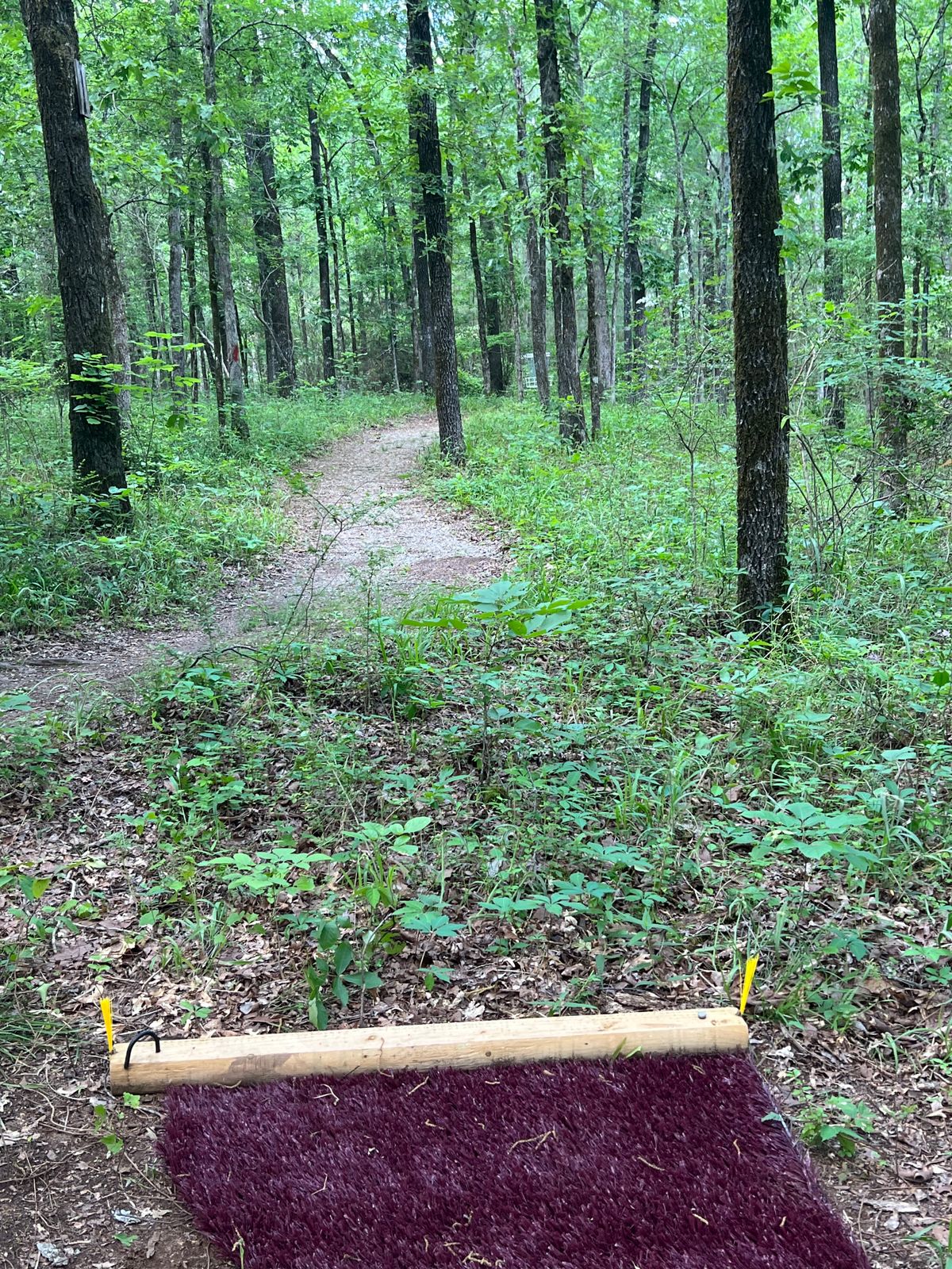 Hole 8 tee pad and basket. 105 feet