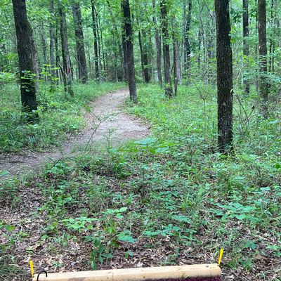 Hole 8 tee pad and basket. 105 feet