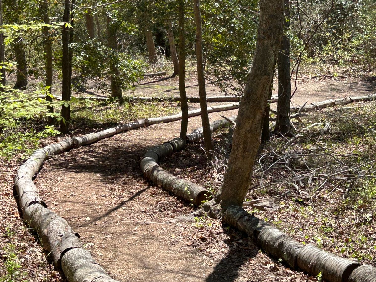 Winding path from 15 to 16