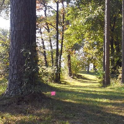 Hole 12