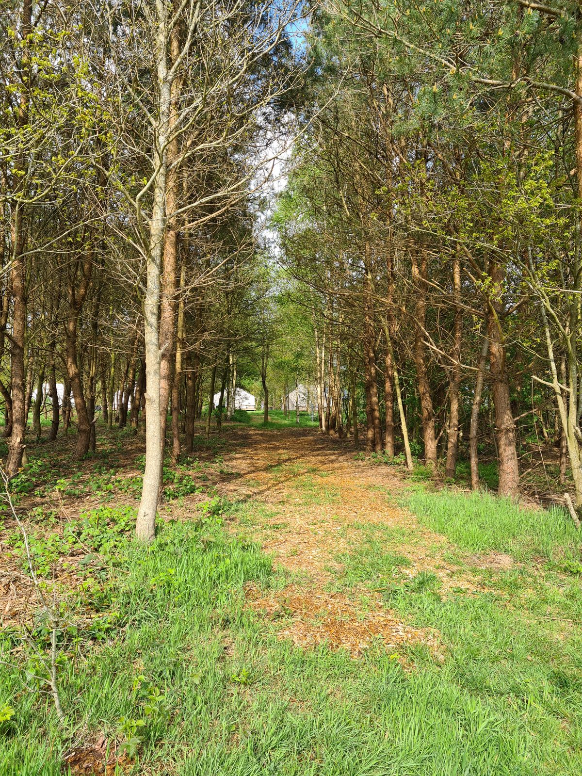 Tunnel hole 11