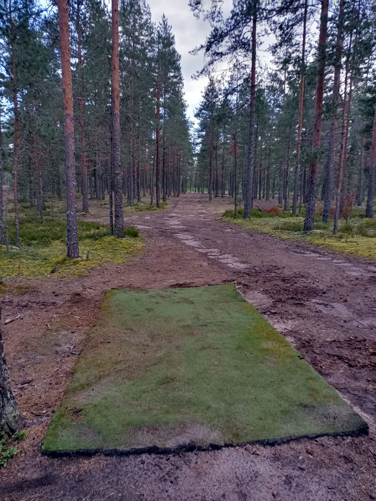 5. väylä