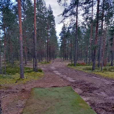 5. väylä