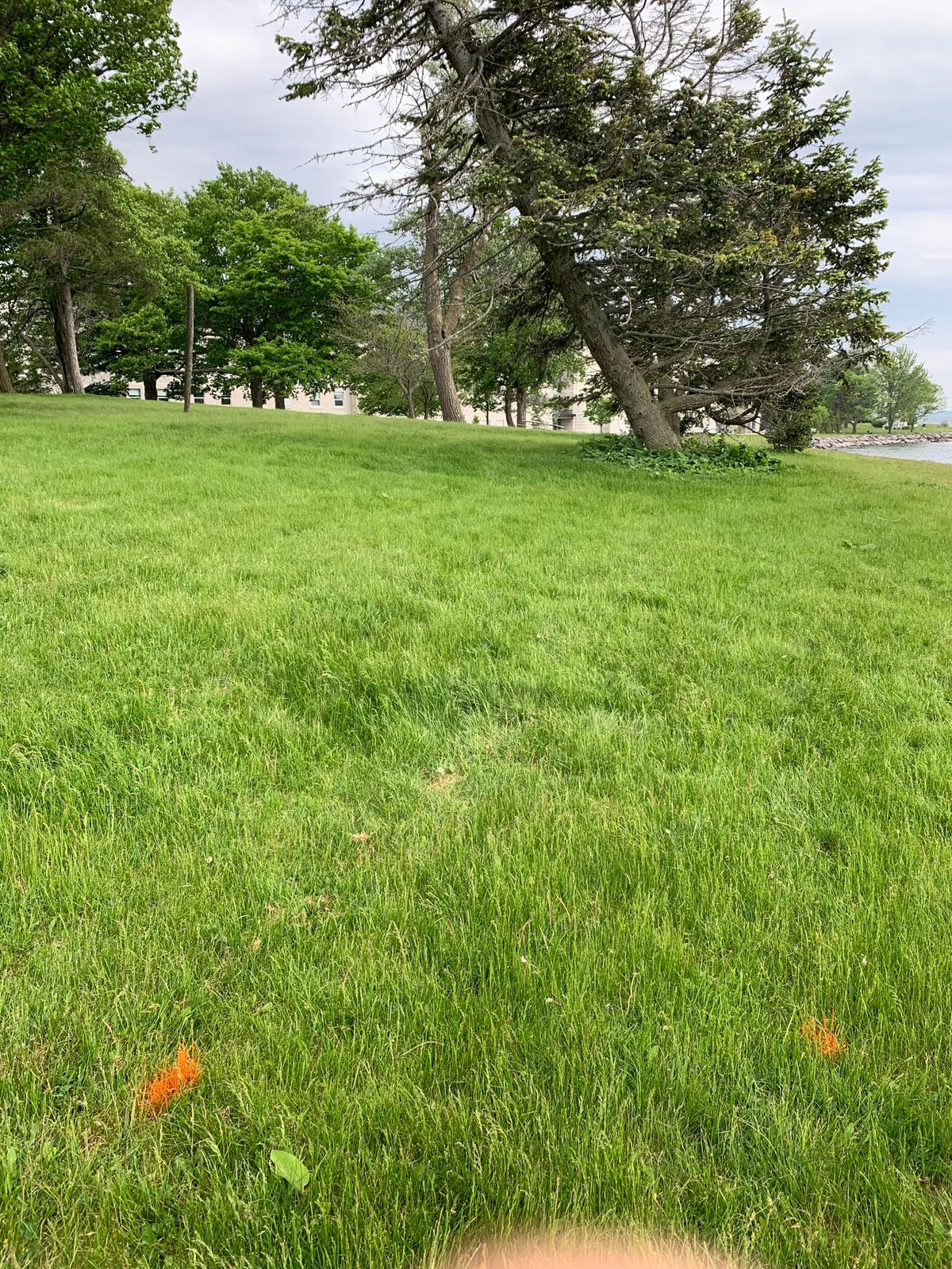 Hole 5 red tee