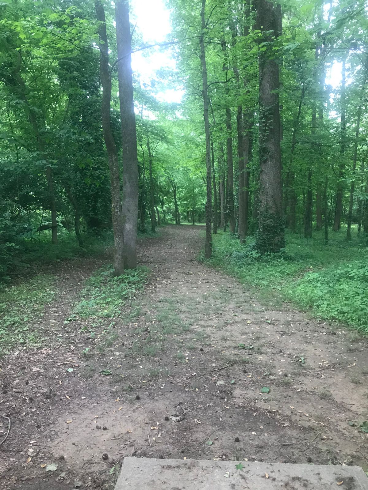 Hole 15