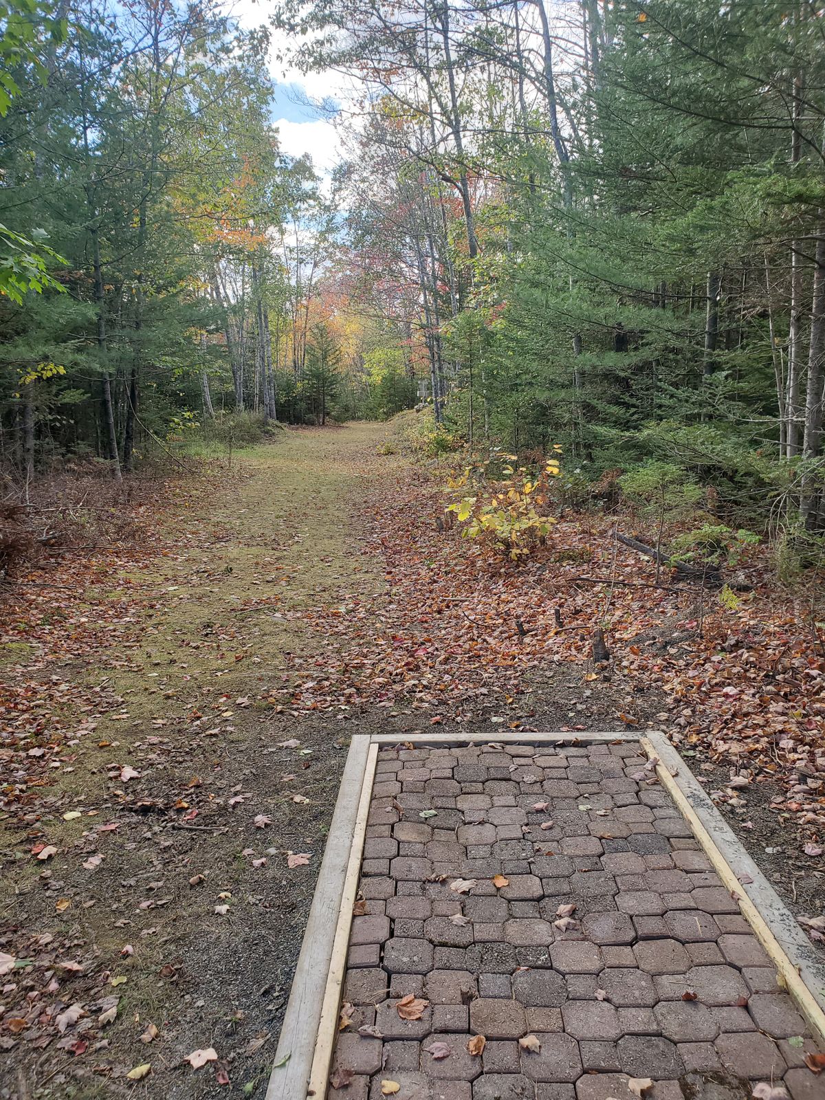 Tee box 2