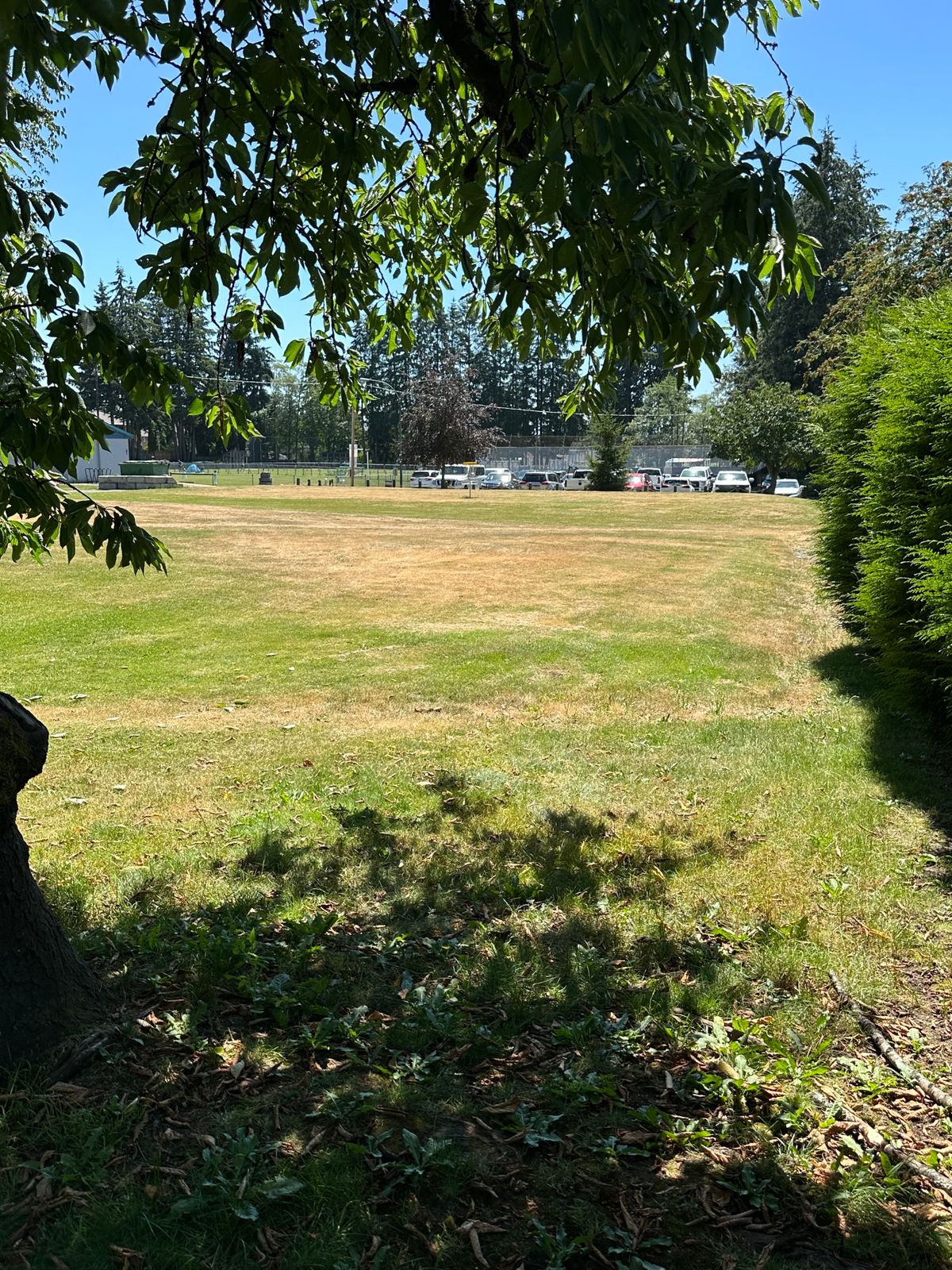 Hole #5