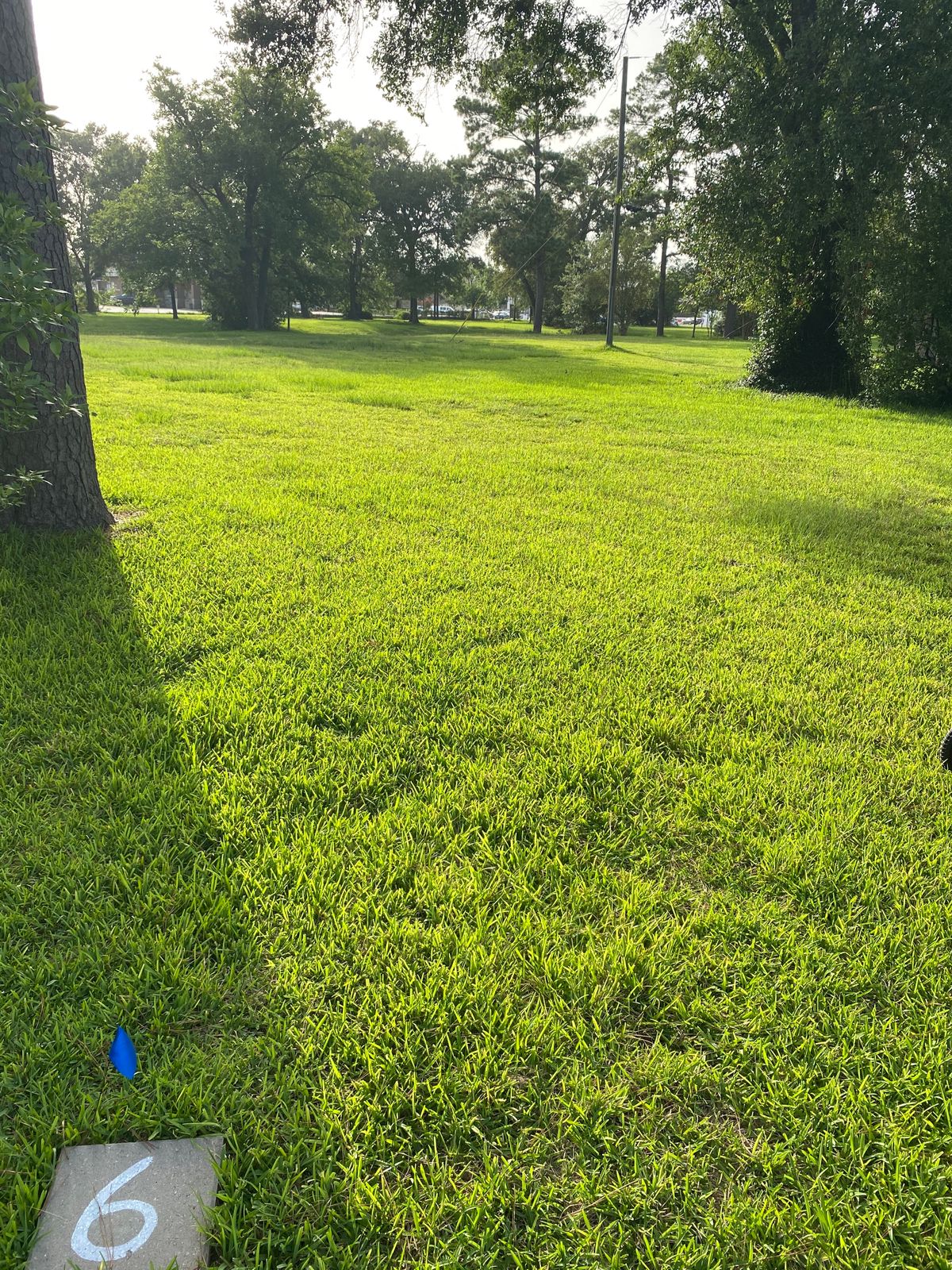 Hole 6