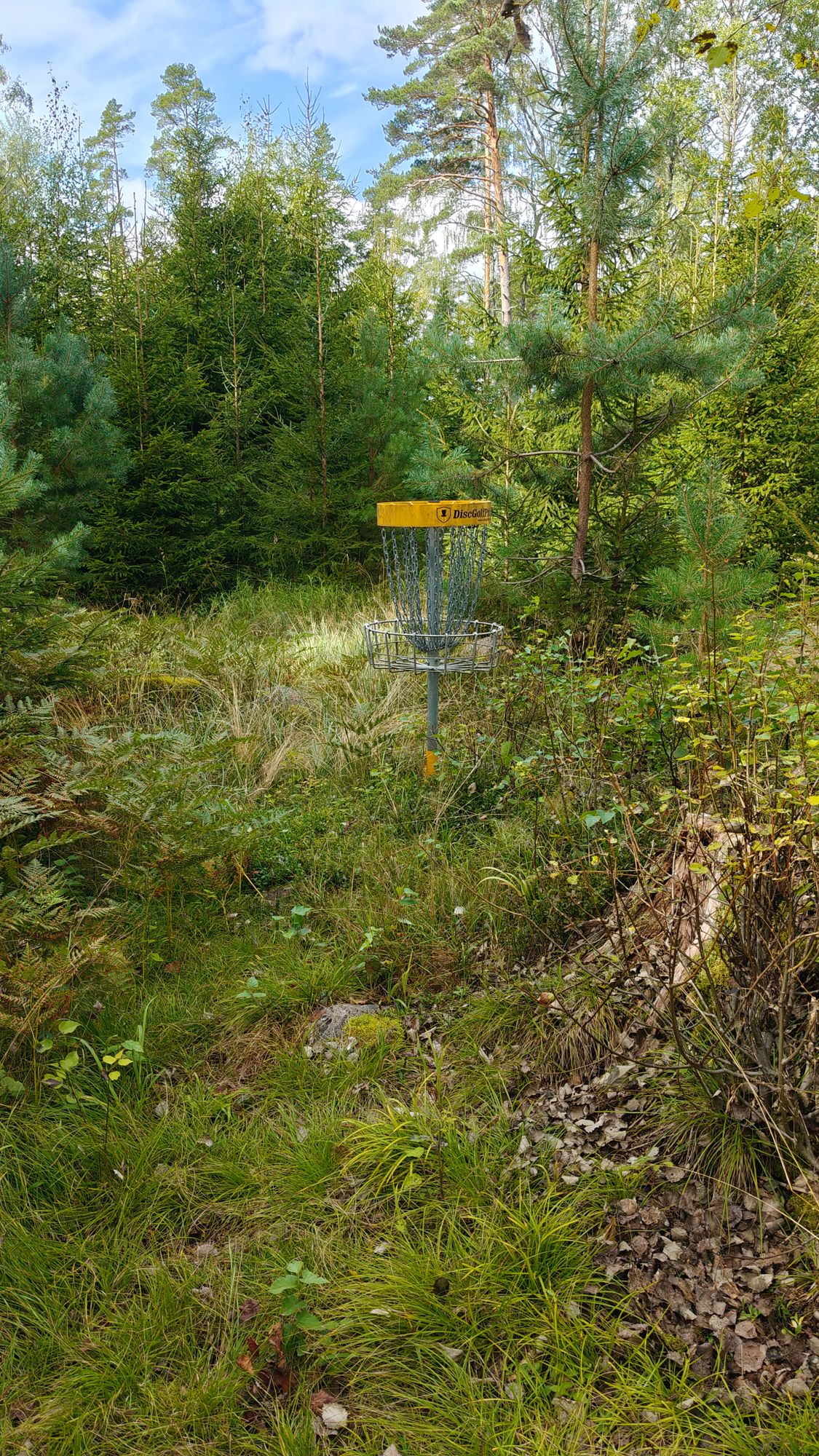 Hole 5