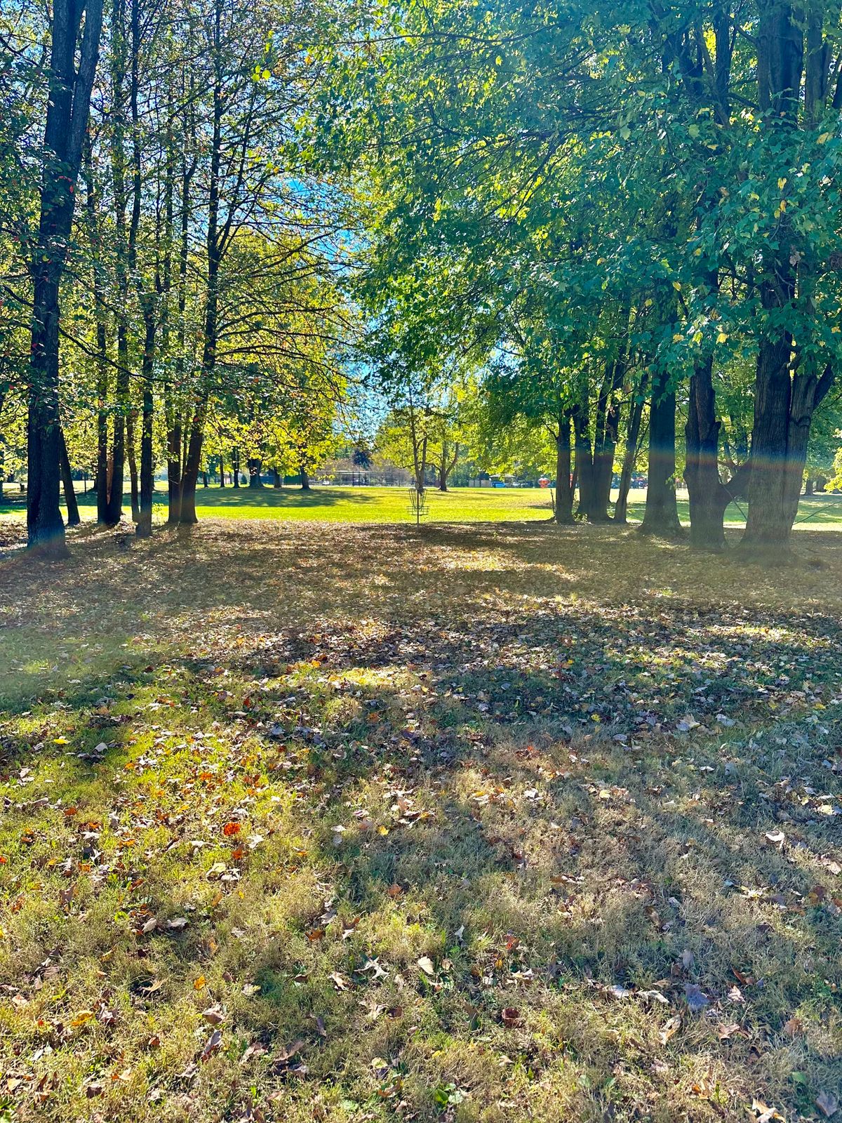 Basket Hole 4