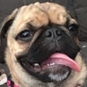 User avatar image