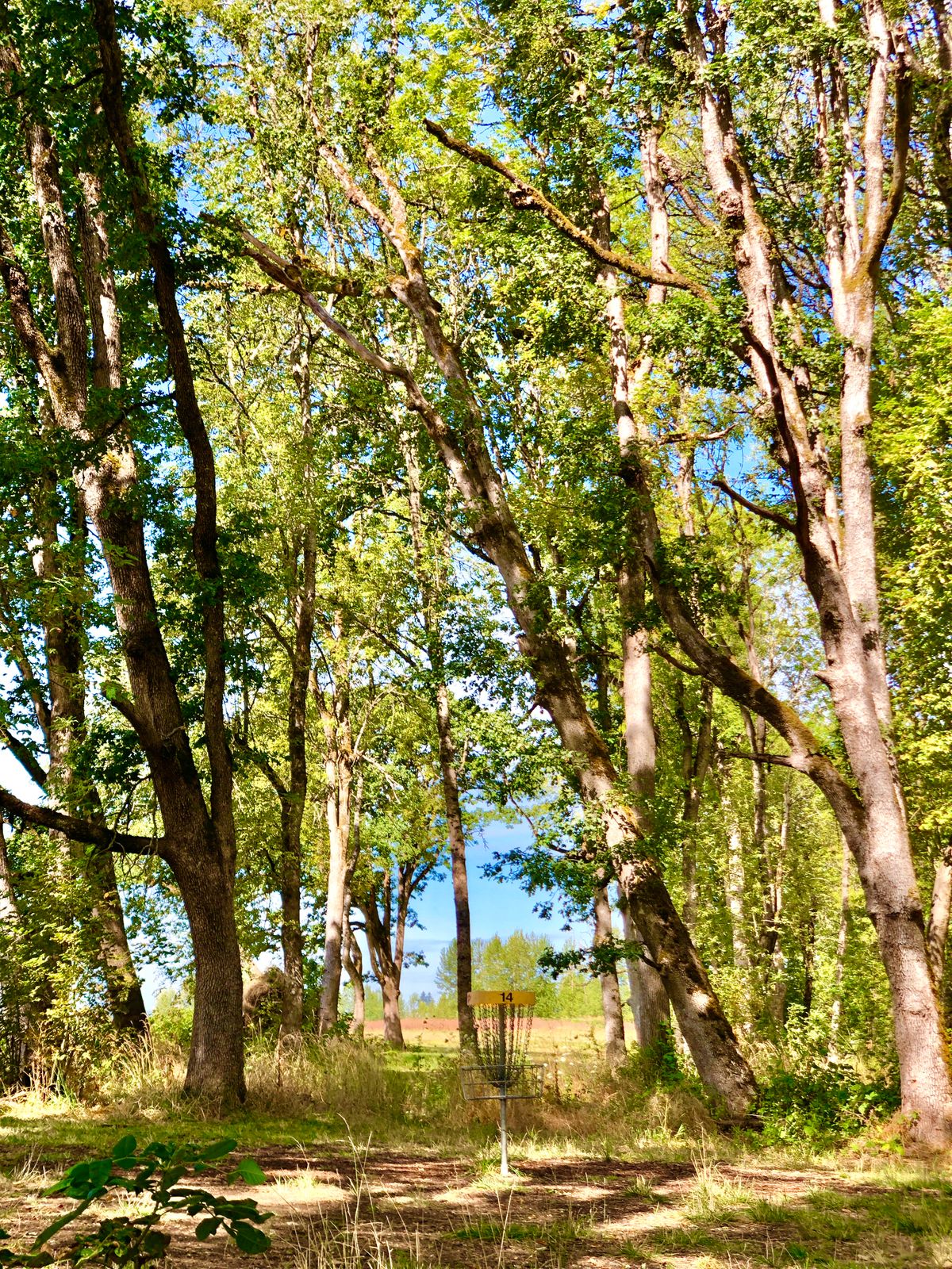 Hole 14?